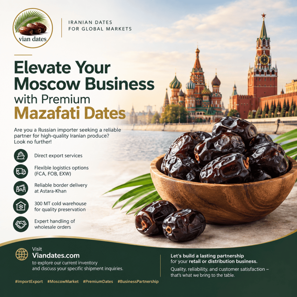 Premium Iranian Mazafati dates for wholesale export