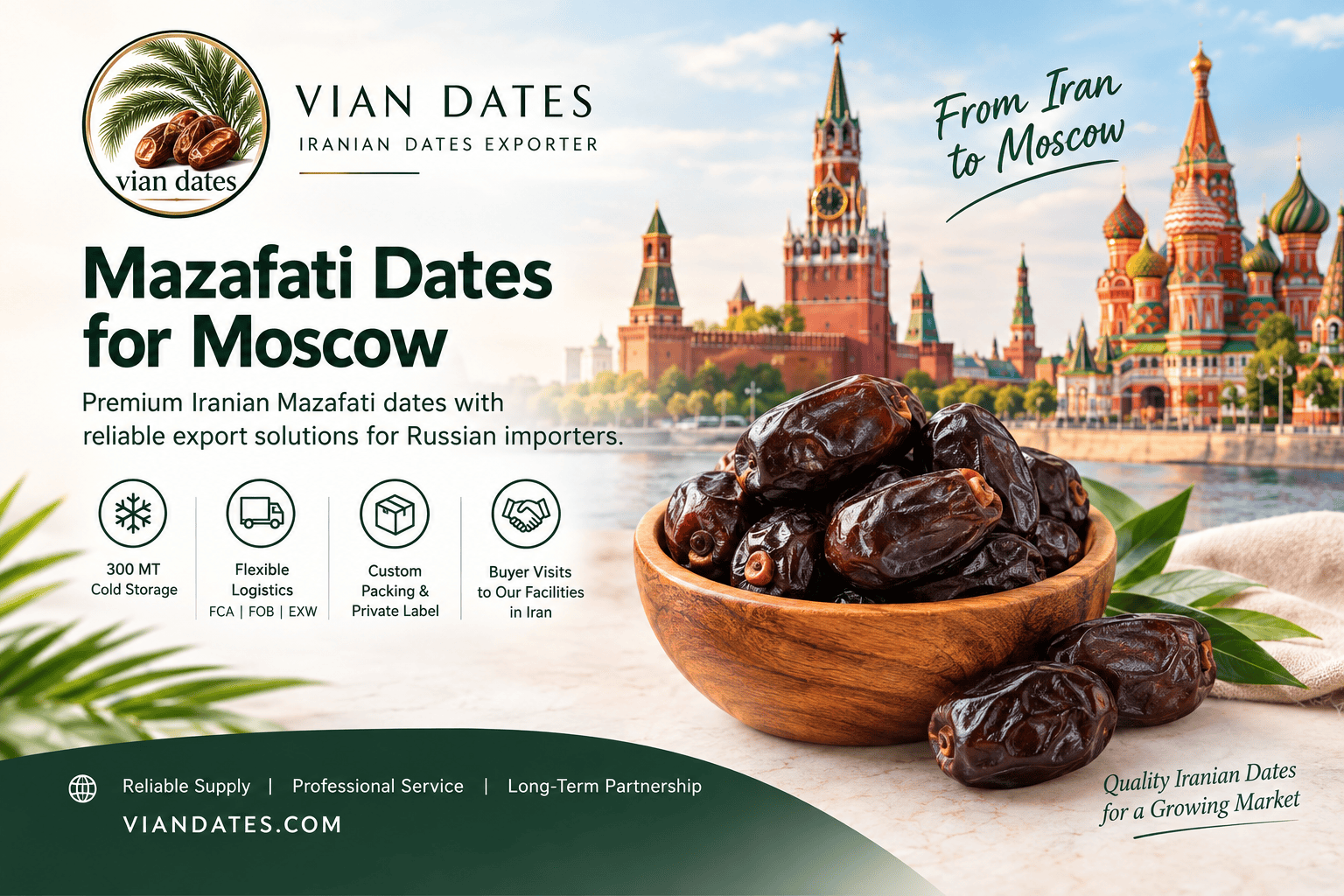 Premium Iranian Mazafati dates for wholesale export by VIAN DATES
